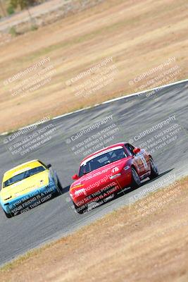 media/May-06-2023-Lucky Dog Racing (Sat) [[8f2256f436]]/Turn 2 10a/
